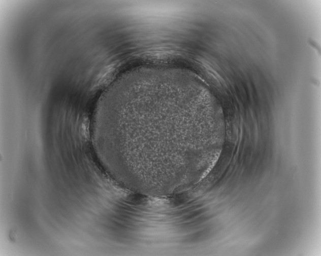 X0000094970718200712201222