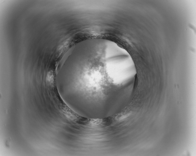 X0000094970720200712201222