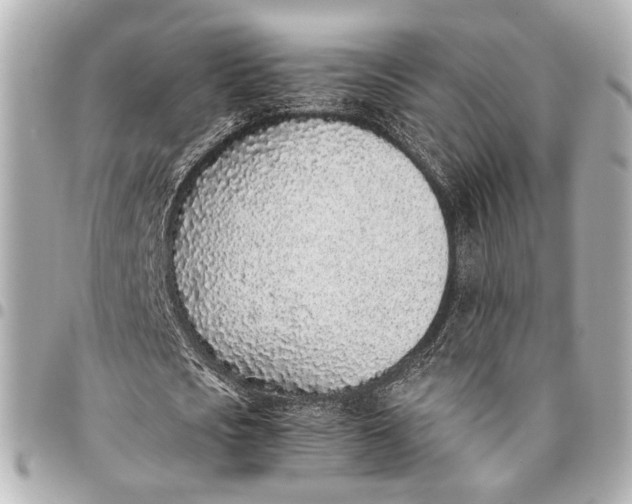 X0000094970721200712201222