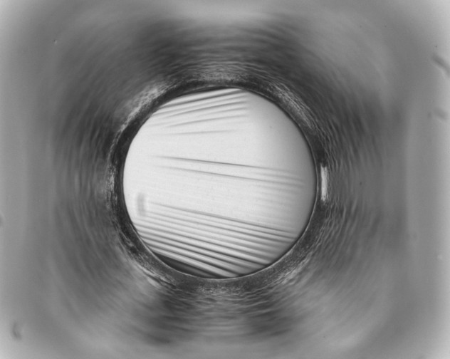 X0000094970723200712201222