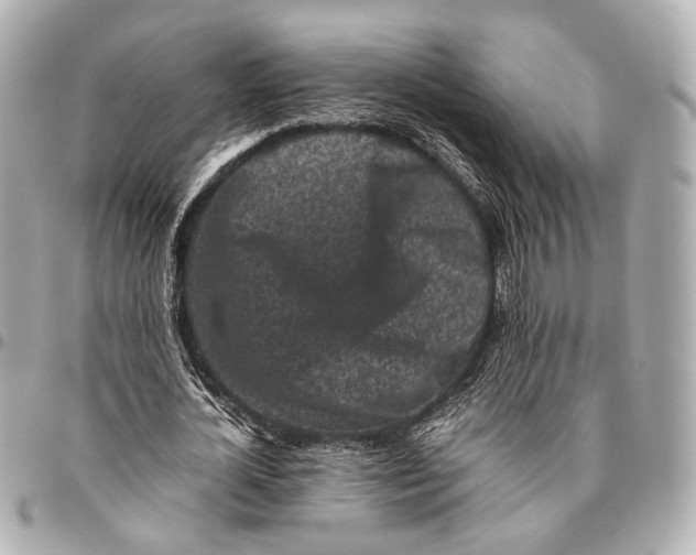 X0000094970724200712201222