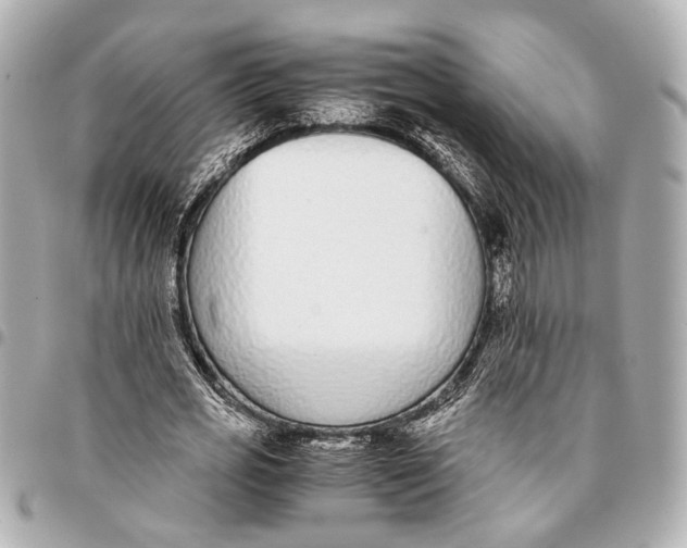 X0000094970725200712201222