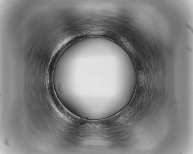 X0000094970726200712201222