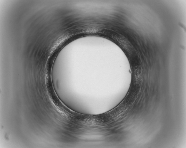 X0000094970728200712201222