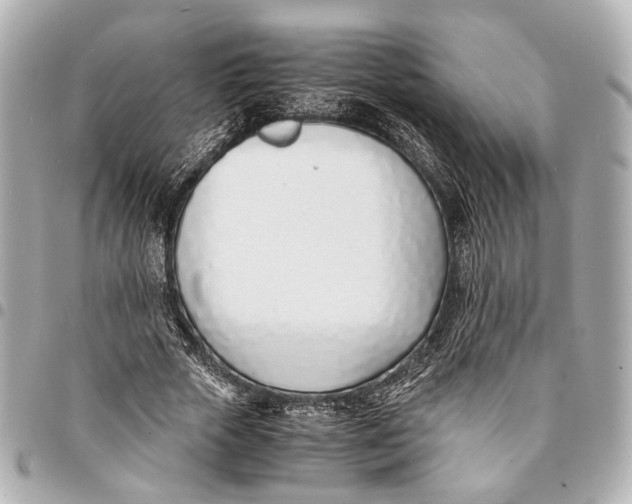 X0000094970729200712201222