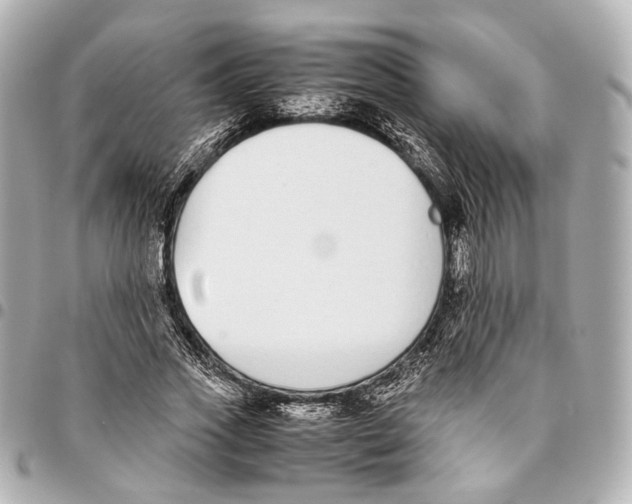 X0000094970733200712201222