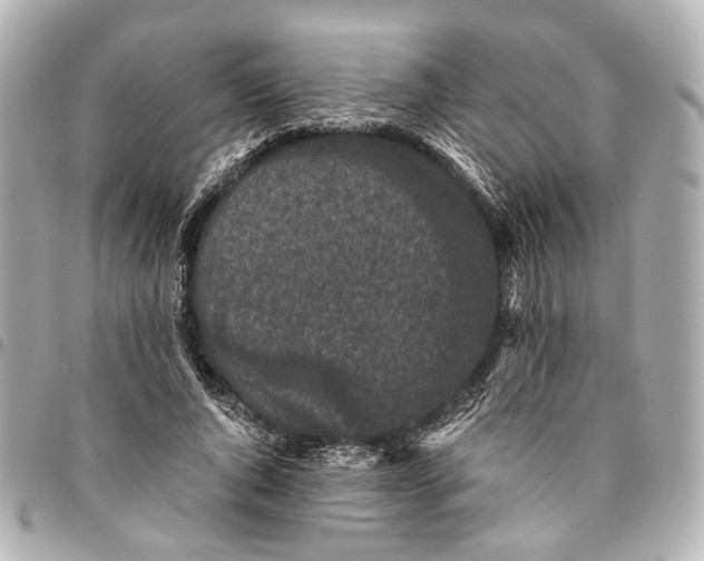 X0000094970736200712201222