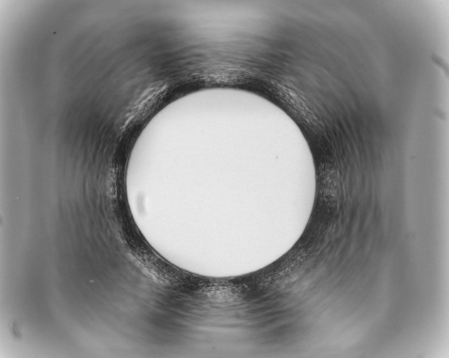 X0000094970738200712201222