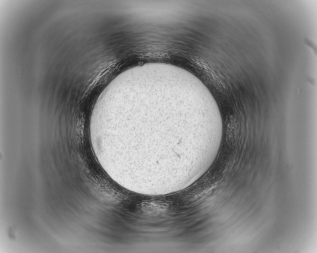 X0000094970739200712201222