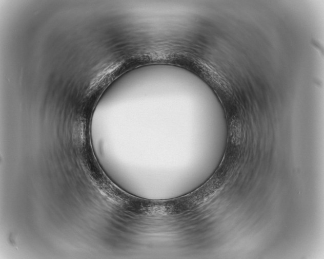 X0000094970740200712201222