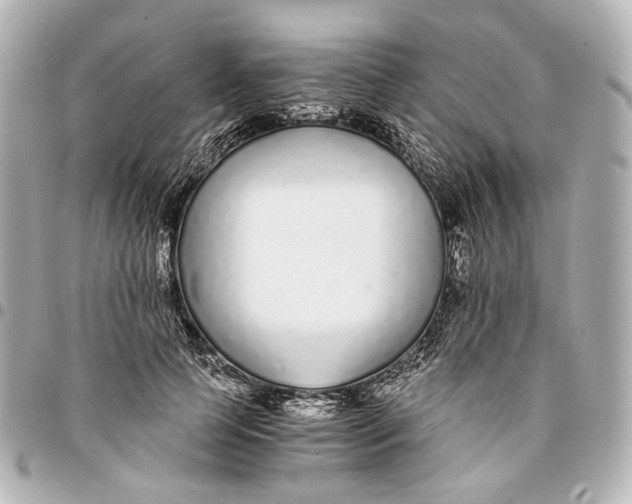 X0000094970745200712201222