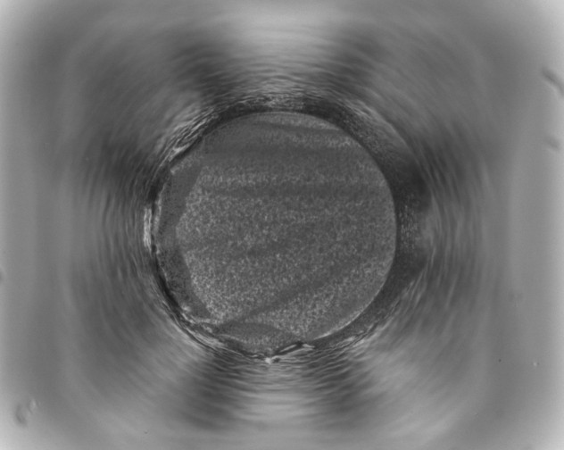 X0000094970748200712201222