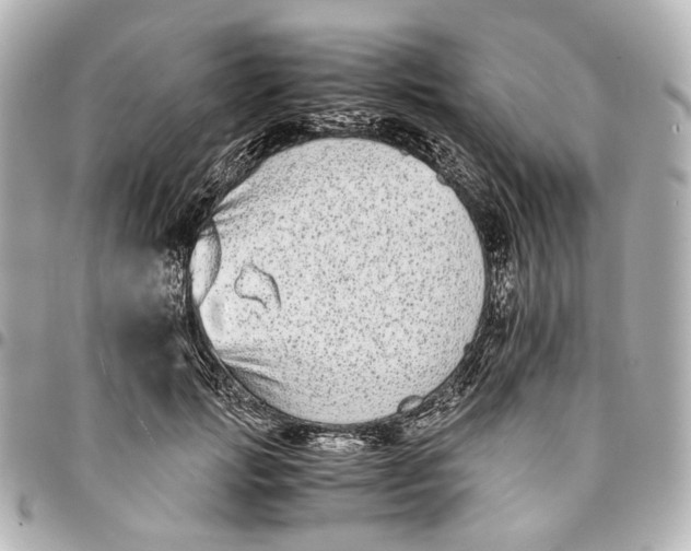 X0000094970749200712201222