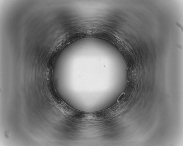 X0000094970750200712201222