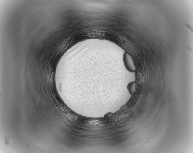 X0000094970753200712201222