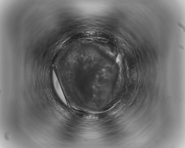 X0000094970754200712201222