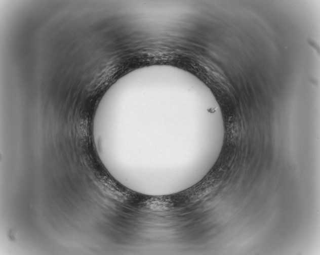 X0000094970756200712201222