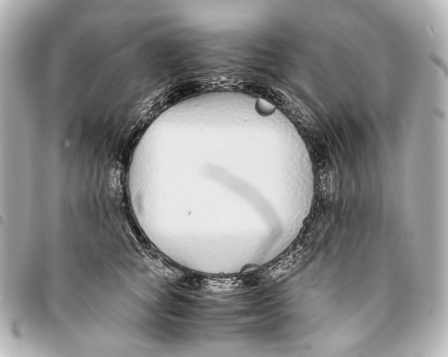 X0000094970757200712201222