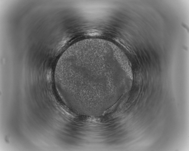 X0000094970760200712201222