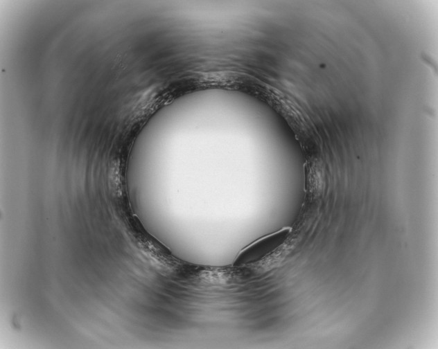 X0000094970764200712201222