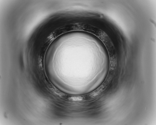 X0000094970765200712201222