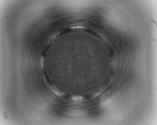 X0000094970767200712201222