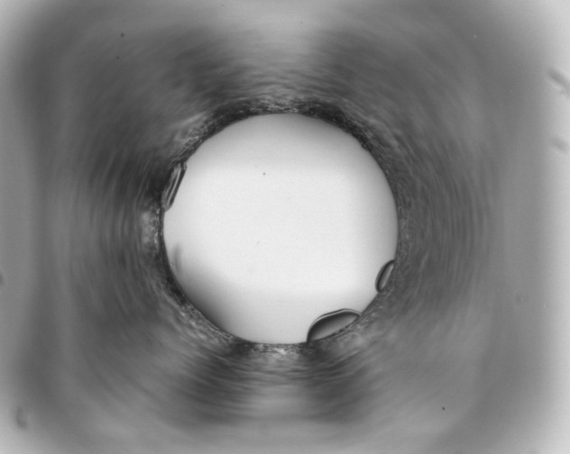 X0000094970768200712201222