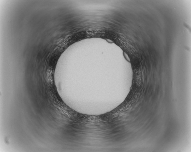 X0000094970770200712201222