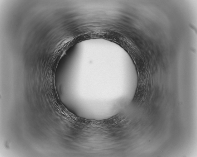 X0000094970773200712201222