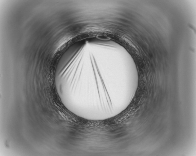 X0000094970775200712201222