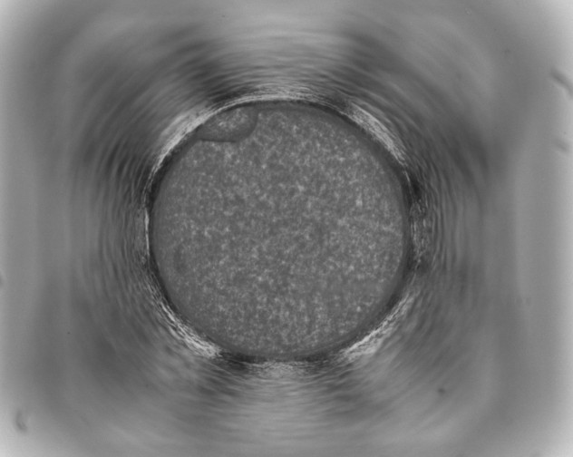 X0000094970781200712201221