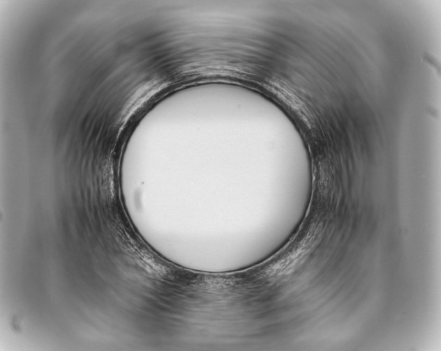 X0000094970782200712201221