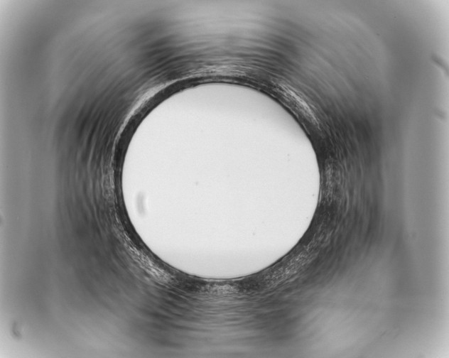 X0000094970784200712201221