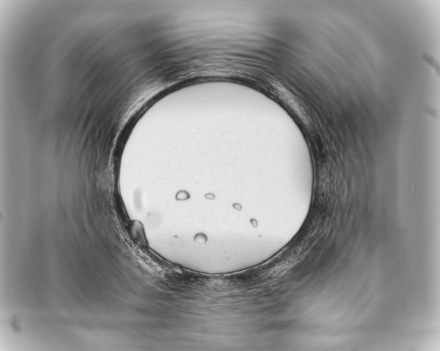 X0000094970787200712201221