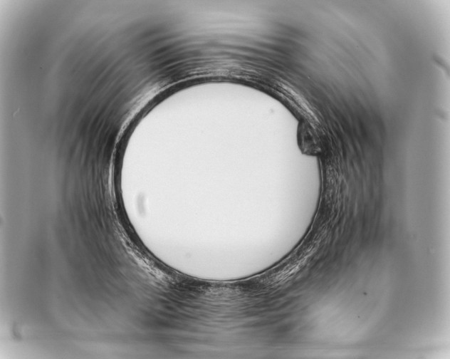 X0000094970788200712201221