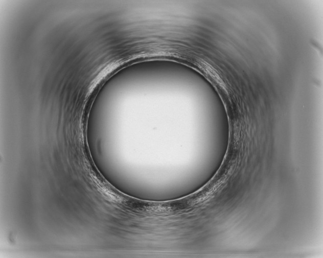 X0000094970789200712201221