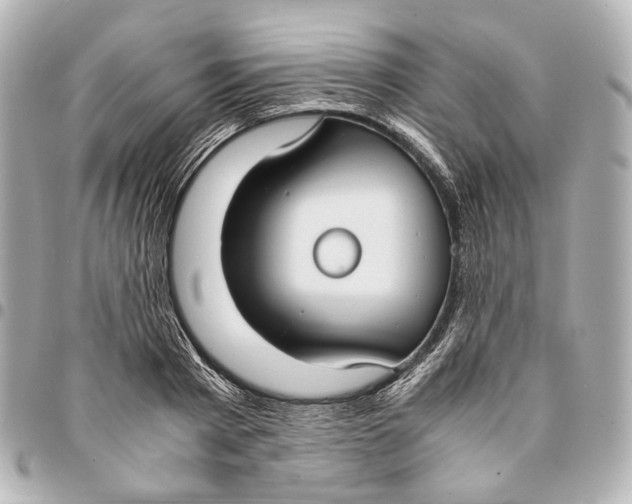 X0000094970793200712201221