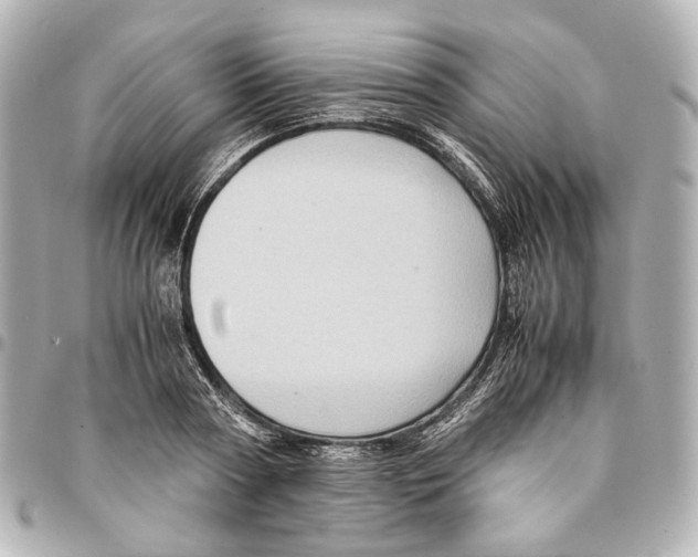 X0000094970794200712201221