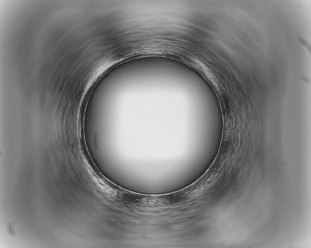 X0000094970795200712201221