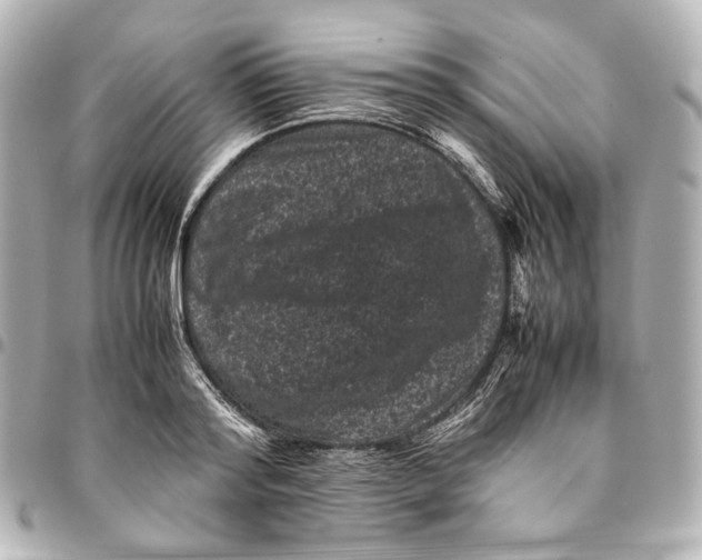 X0000094970796200712201221