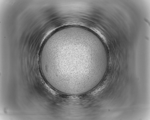 X0000094970799200712201221