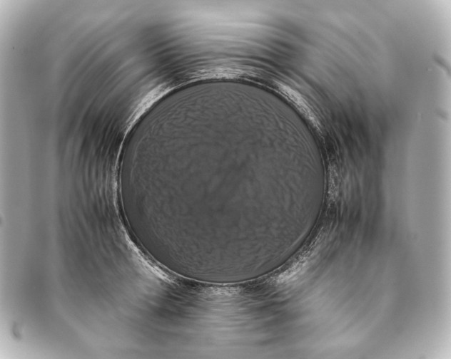 X0000094970802200712201221