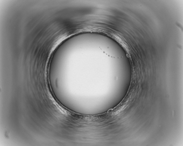 X0000094970803200712201221