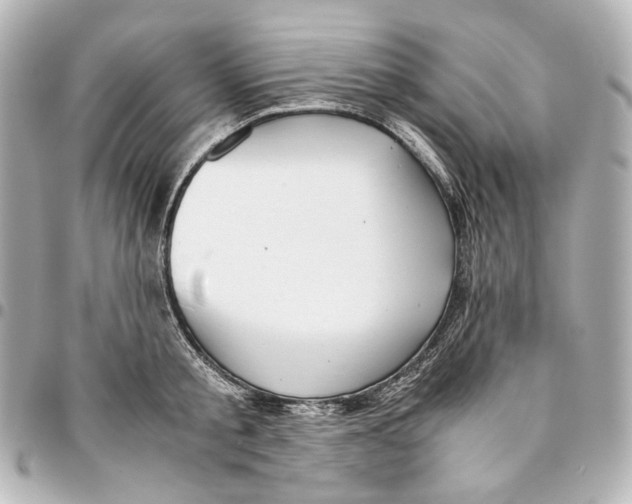 X0000094970805200712201221