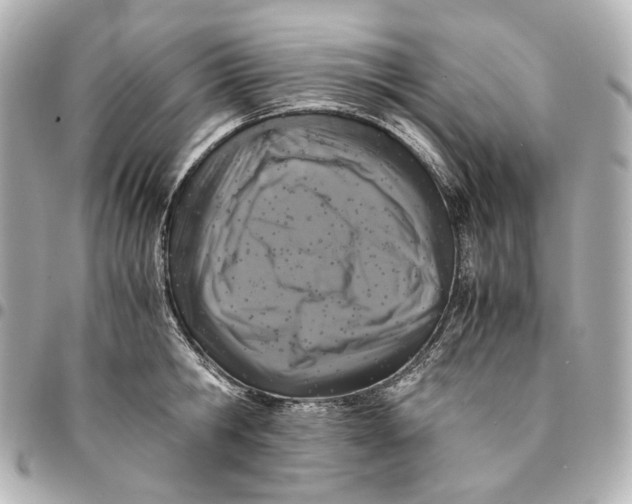 X0000094970806200712201221