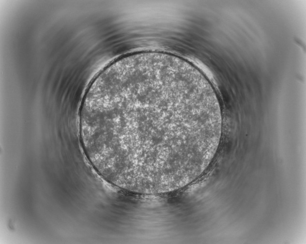 X0000094970807200712201221