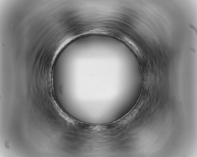 X0000094970808200712201221