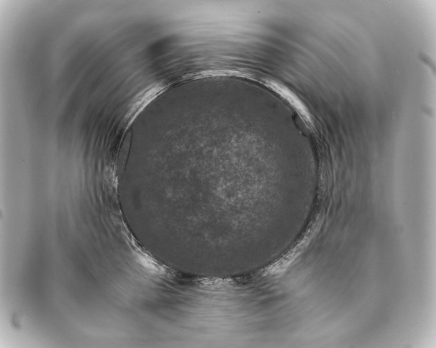 X0000094970809200712201221