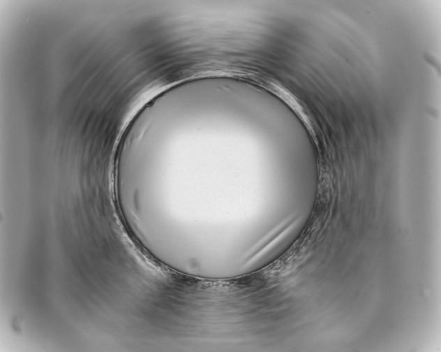 X0000094970811200712201221