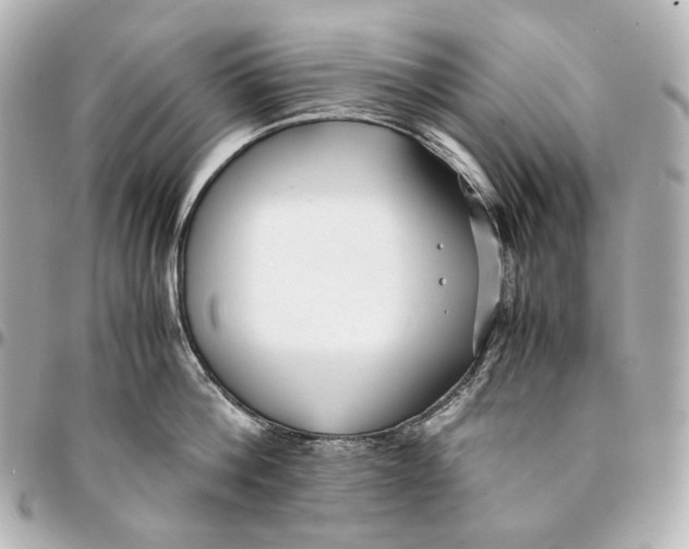 X0000094970812200712201221